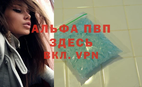 круглые Вязьма