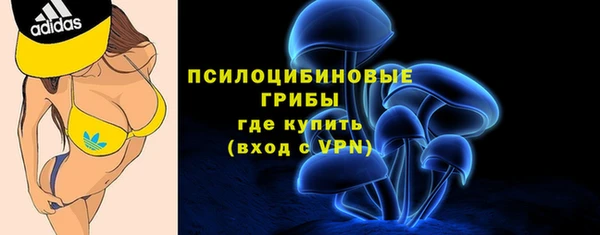 круглые Вязьма