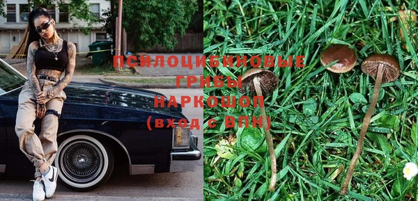 круглые Вязьма