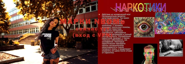 круглые Вязьма