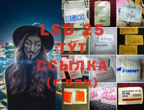 mdpv Вяземский