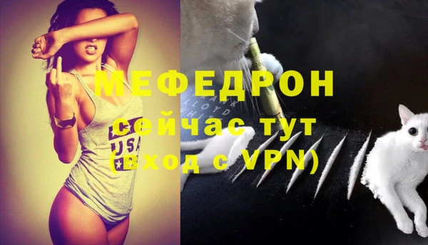 mdpv Вяземский