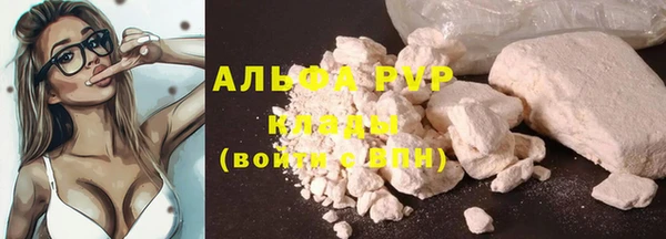 круглые Вязьма