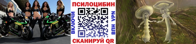 Псилоцибиновые грибы мухоморы Нахабино