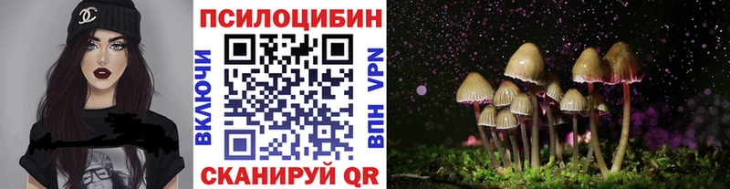 гидра как зайти  Нахабино  Псилоцибиновые грибы Psilocybe 