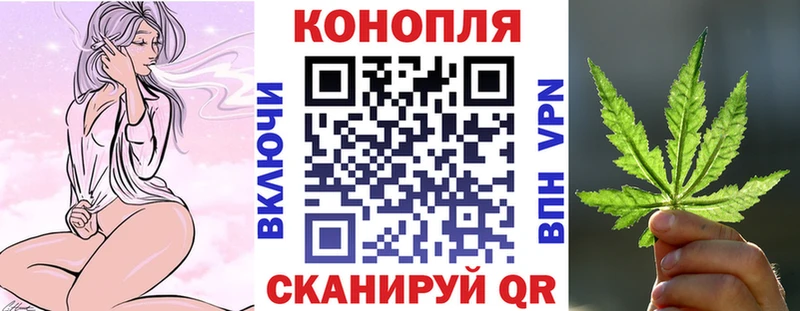 где купить наркоту  Нахабино  Бошки марихуана индика 